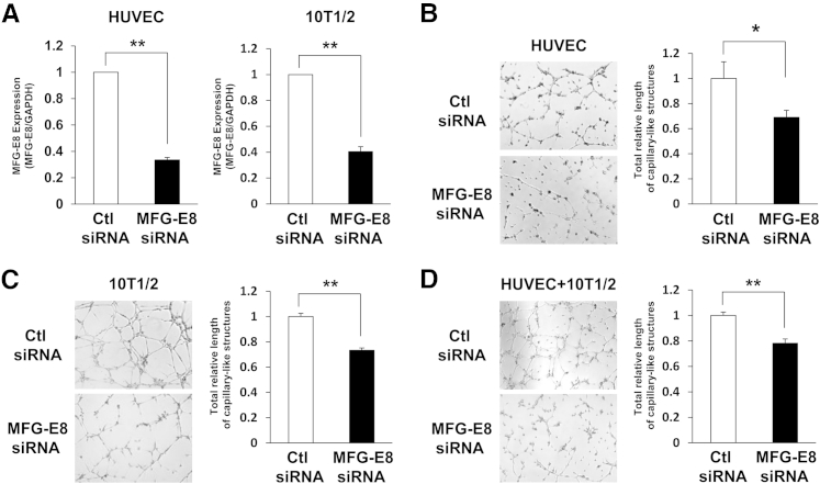 Figure 5