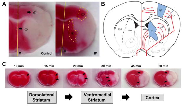 Fig. 2