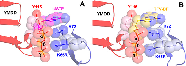 Figure 9.