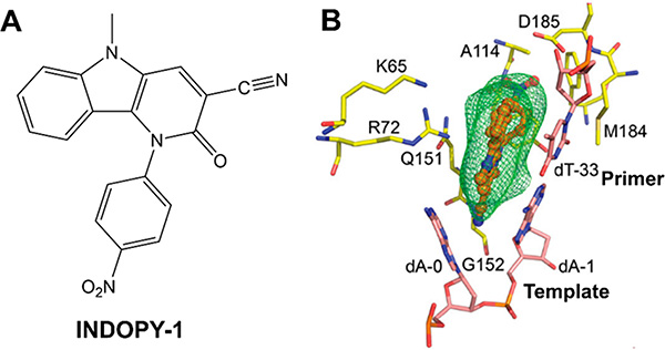 Figure 21.