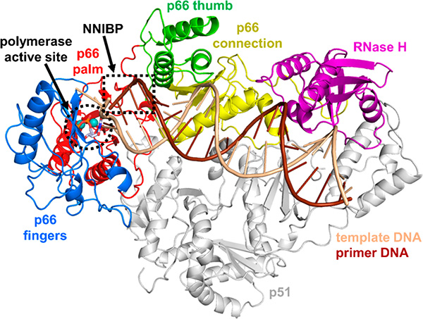 Figure 1.