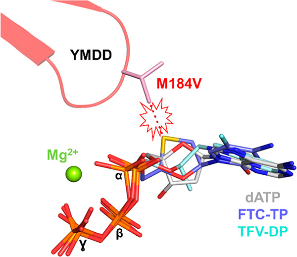 Figure 11.