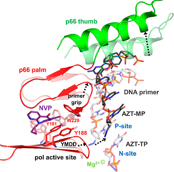 Figure 6.