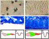 Fig. 3.