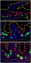 Fig. 12.