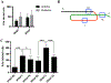 Fig. 8.