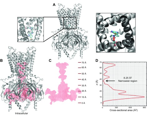 Figure 9.