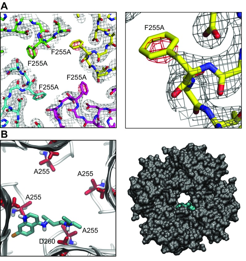 Figure 6.