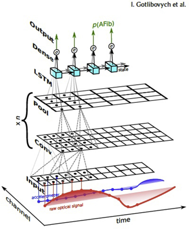 Supplementary Figure 1