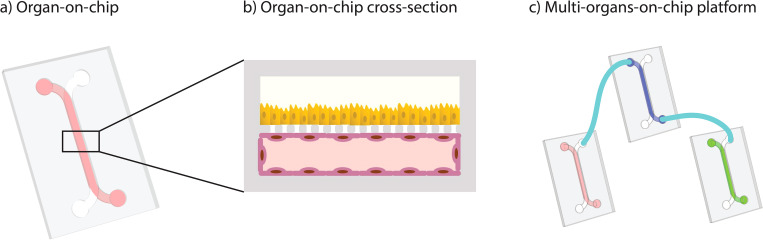 FIG. 1.