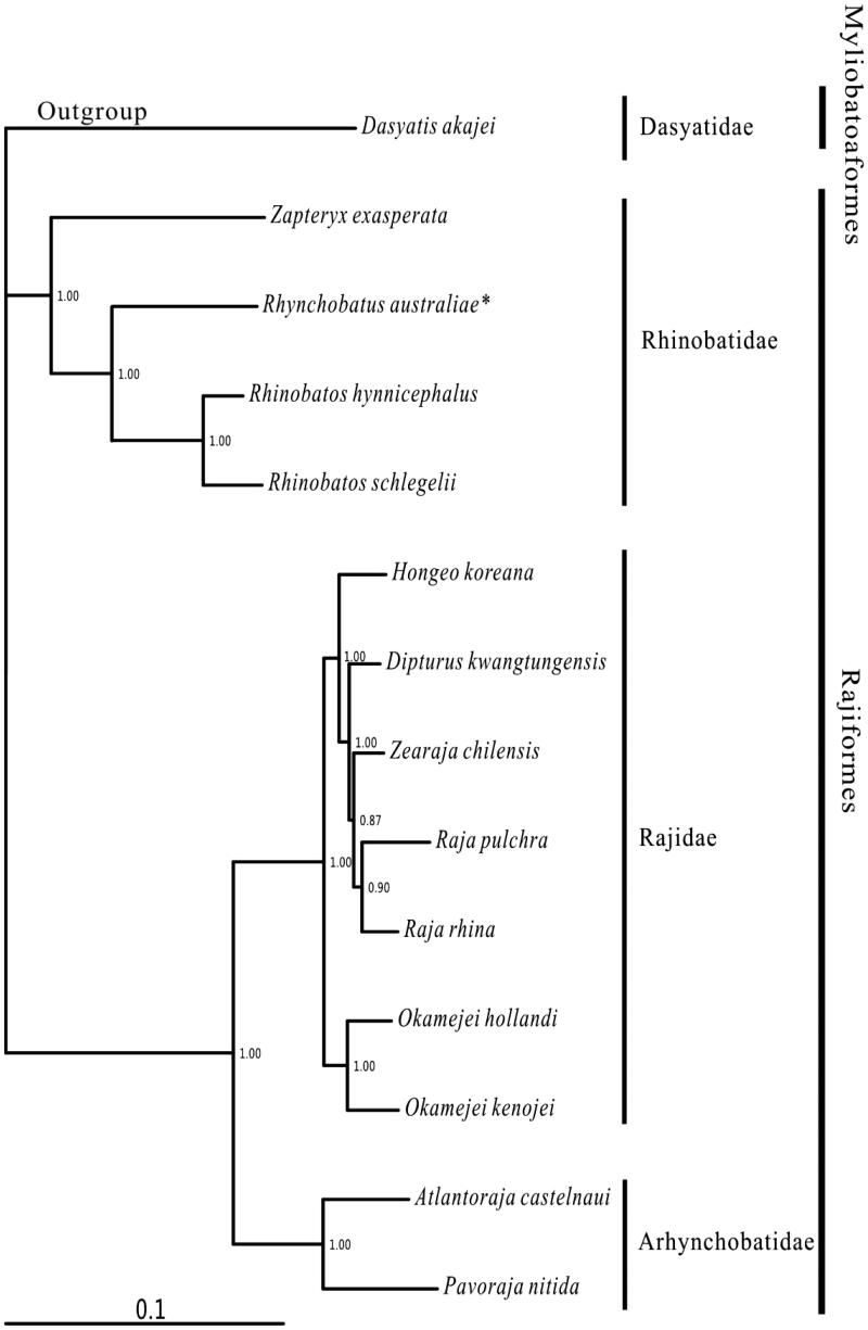 Figure 1.