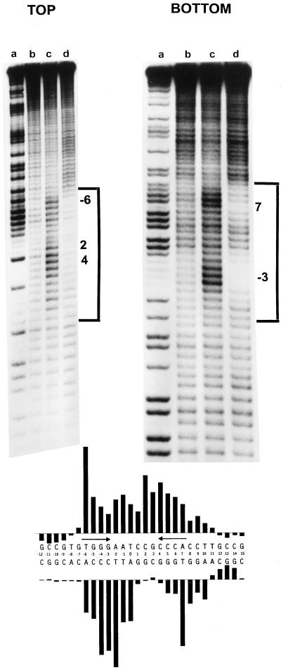 FIG. 1
