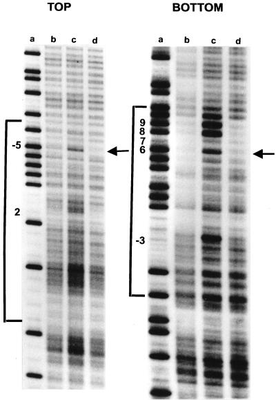 FIG. 3