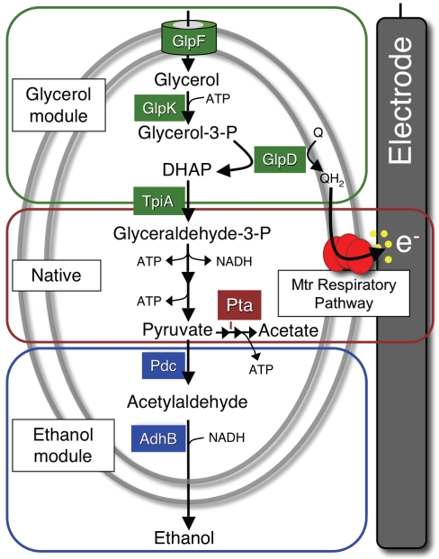 FIG 1 