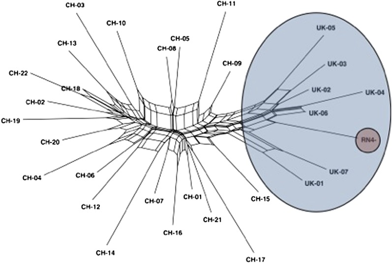 Figure 1 