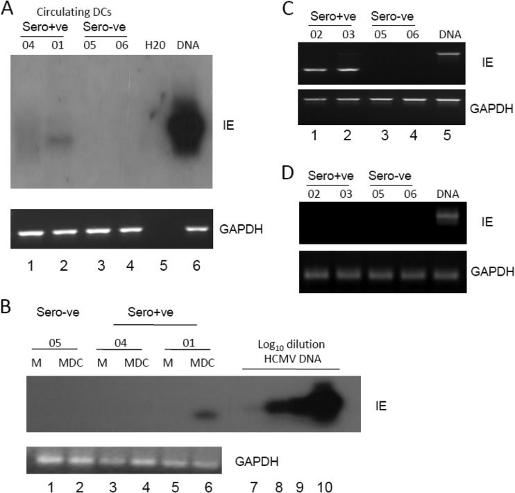 Fig 4