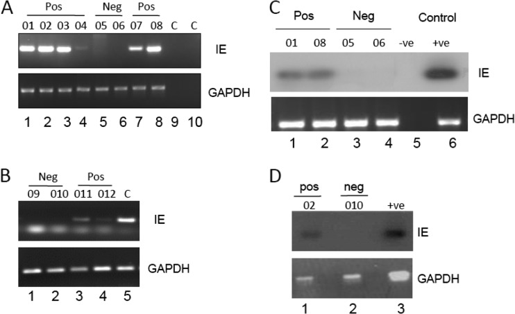 Fig 3