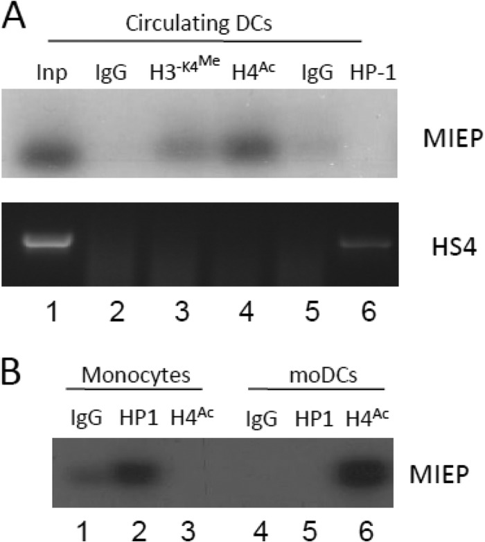 Fig 5