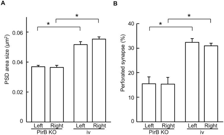 Fig 8