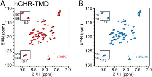 Figure 4—figure supplement 3.