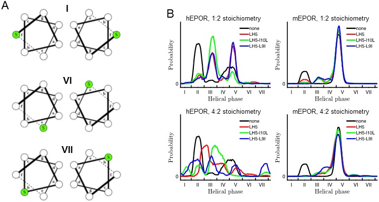 Figure 7—figure supplement 1.