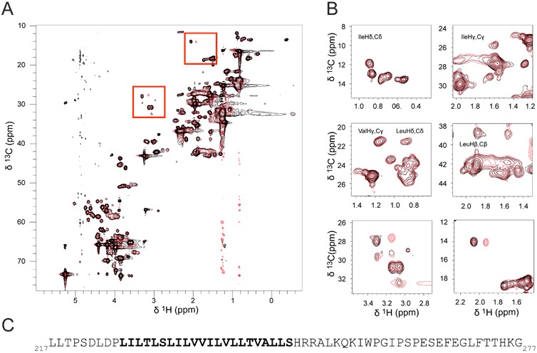 Figure 4—figure supplement 1.