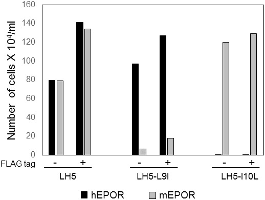 Figure 3—figure supplement 2.