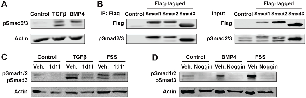 Figure 4: