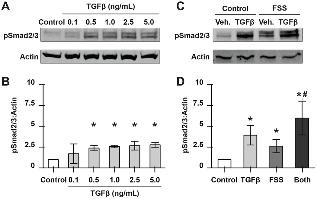 Figure 3: