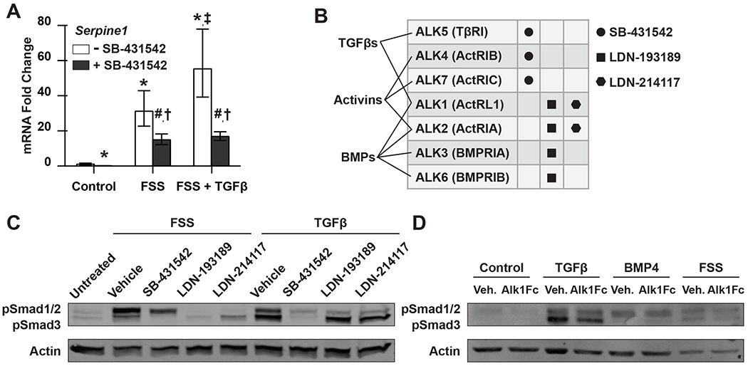 Figure 5: