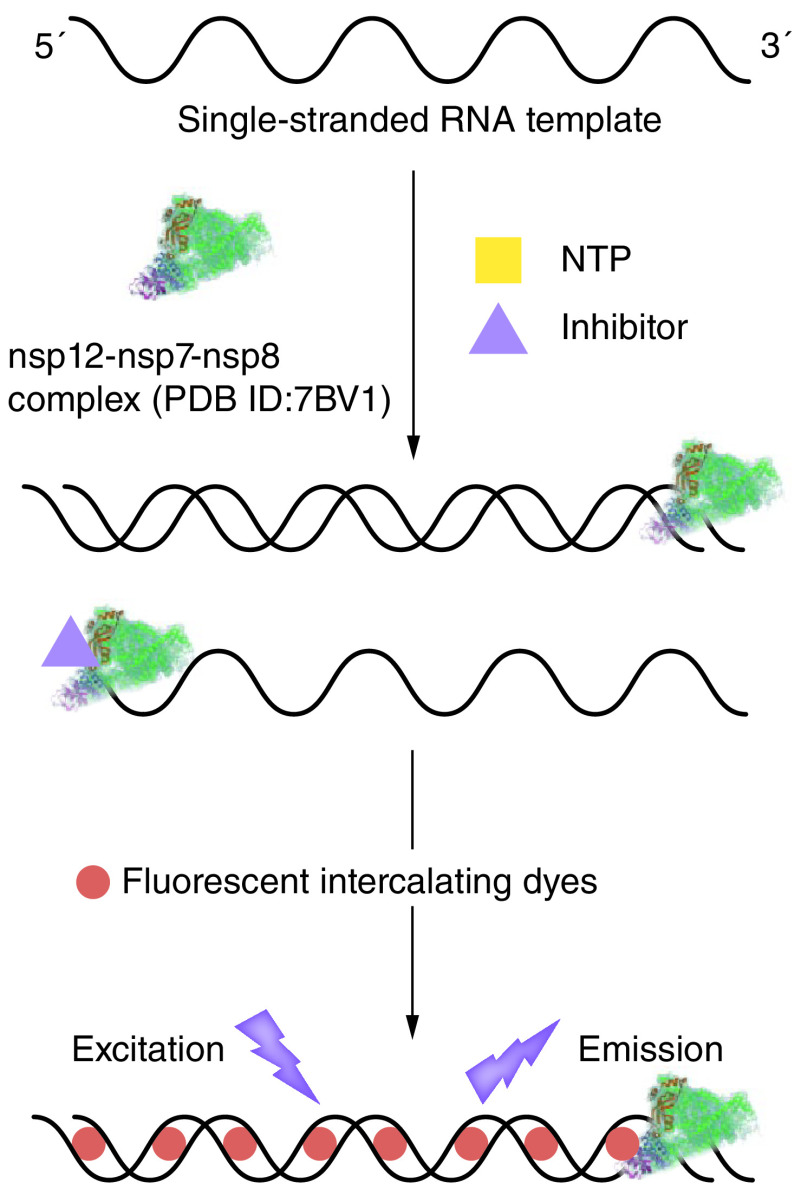 Figure 3. 