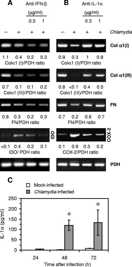 FIG. 6.