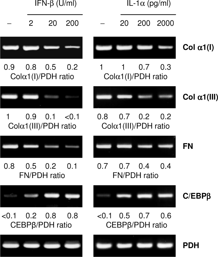 FIG. 7.