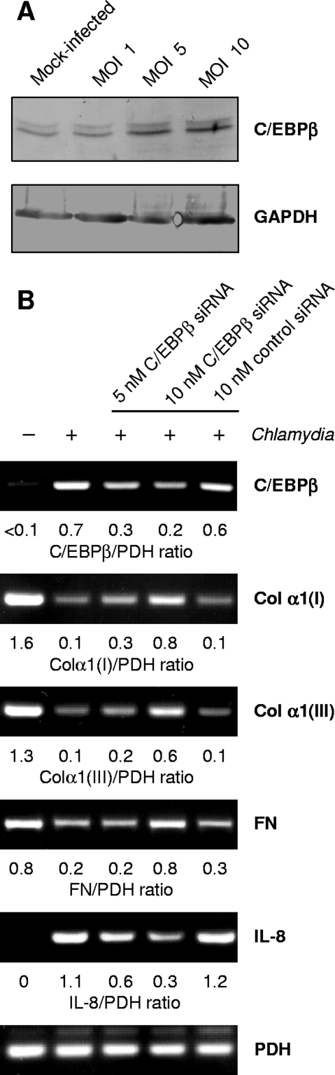 FIG. 8.