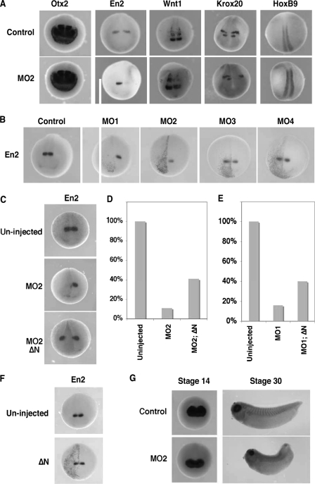 FIGURE 4.