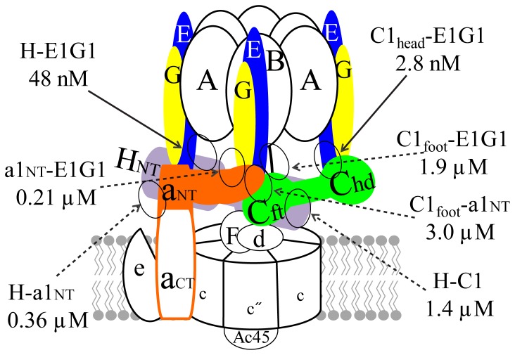 Figure 7