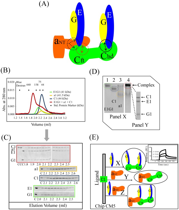 Figure 5