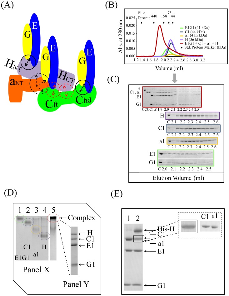 Figure 6