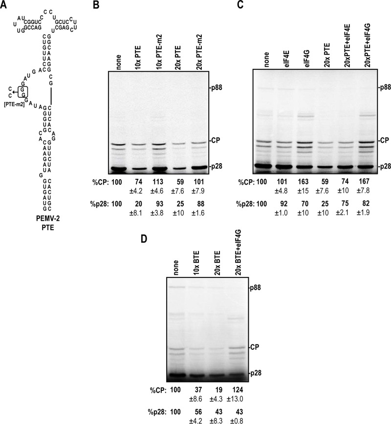 FIG 6