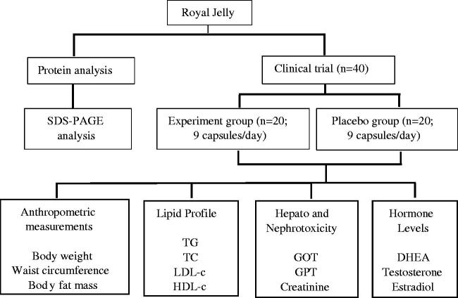 Figure 1.