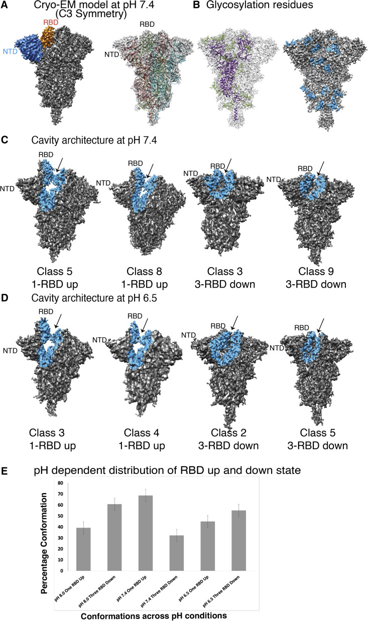 Figure 4