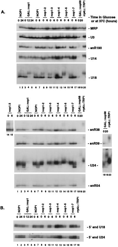 FIG. 6