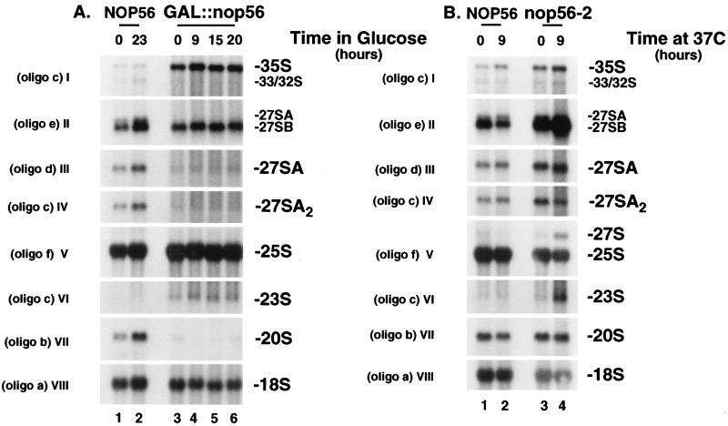 FIG. 7