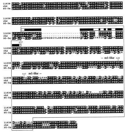 FIG. 1