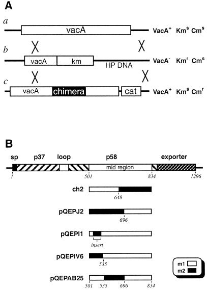 FIG. 3