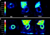 Fig. 10