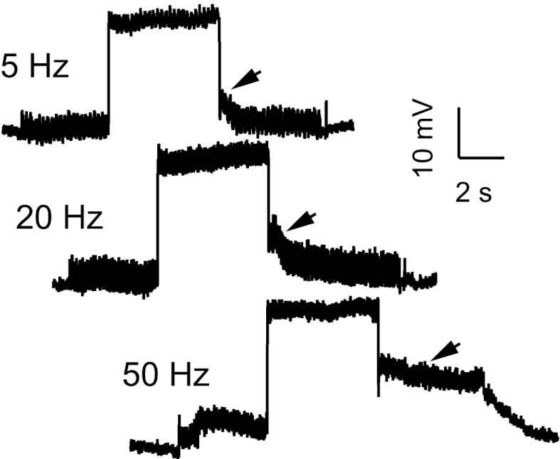 Fig. 6.