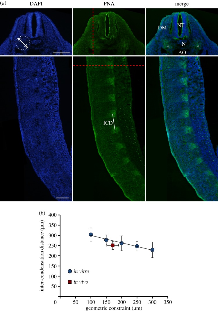 Figure 6.