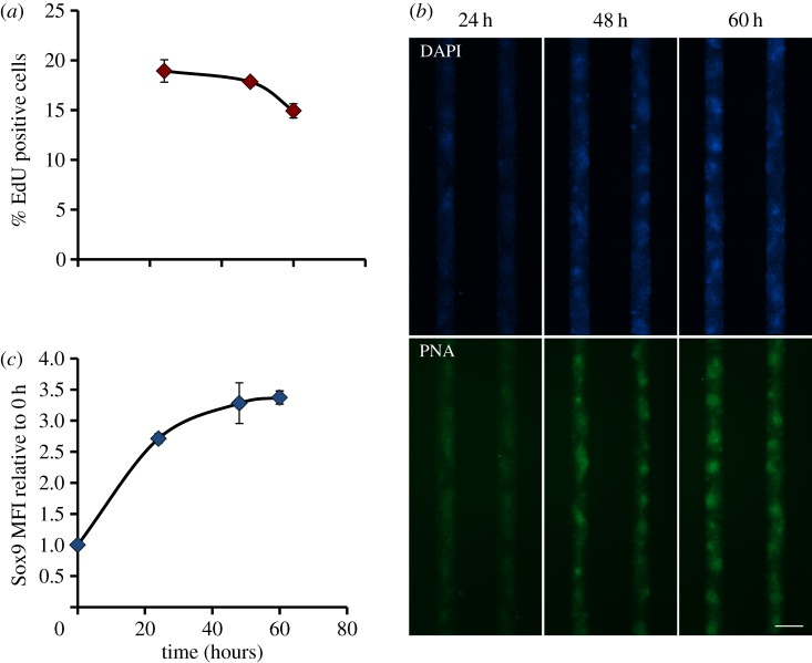 Figure 5.