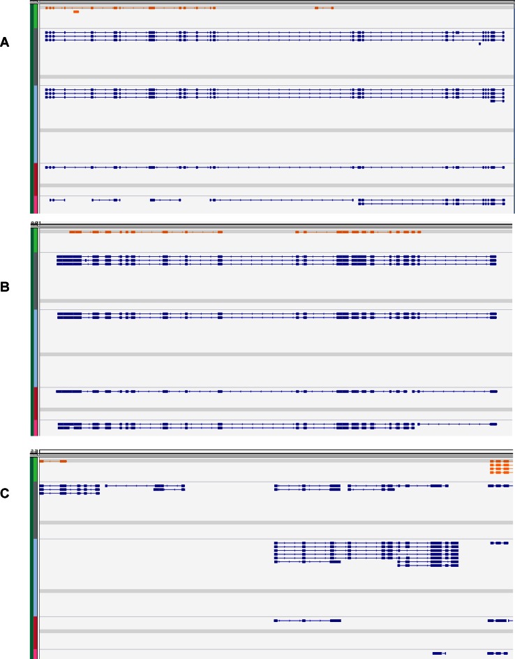 Figure 6.